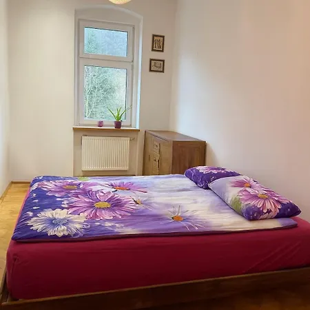 Apartamento Privately Owned Near Karlovy Vary *